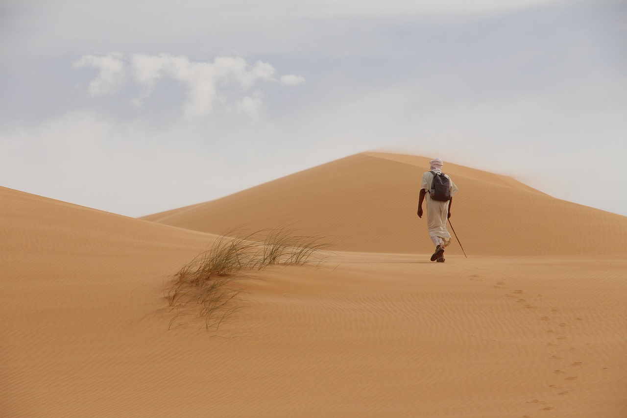 desert, sand, traveler, dunes, nature, hiking, solitude, mauritania, africa, desert, desert, desert, desert, desert, mauritania, mauritania, mauritania